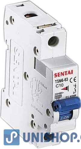 Jistič TSM6-63 230V/10A C 1fázový na DIN lištu; L575